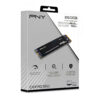 PNY SSD 250G NVME PCIE CS1030