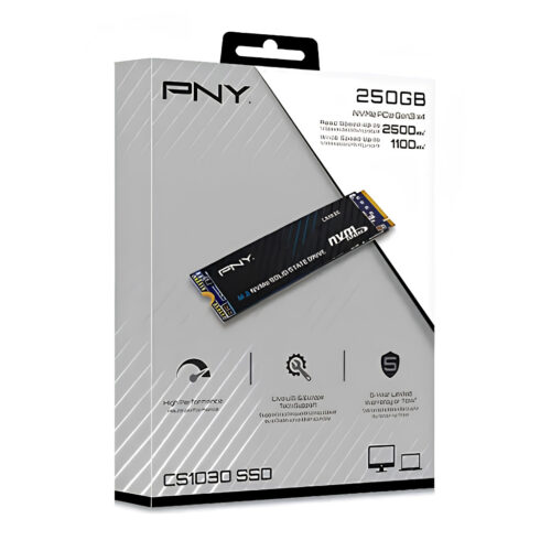 PNY SSD 250G NVME PCIE CS1030