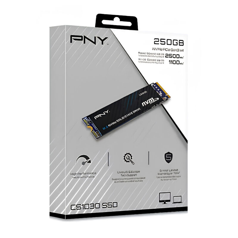 PNY SSD 250G NVME PCIE CS1030