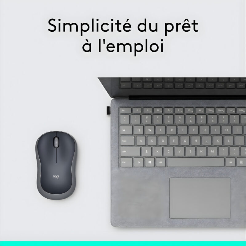 SOURIS OPTIQUE SANS FIL LOGITECH M185 - ARGENT