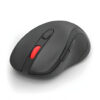 SOURIS DEICIDE